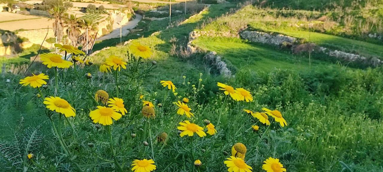 Grotto'S Paradise B&B Għarb Eksteriør billede